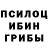 Псилоцибиновые грибы Psilocybe Simon13