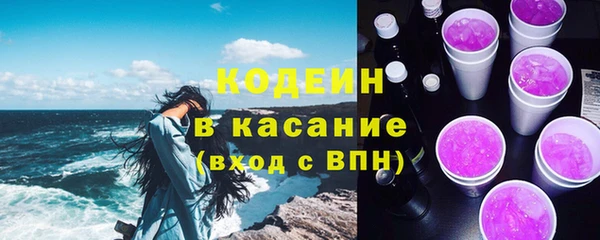 эйфоретик Алзамай